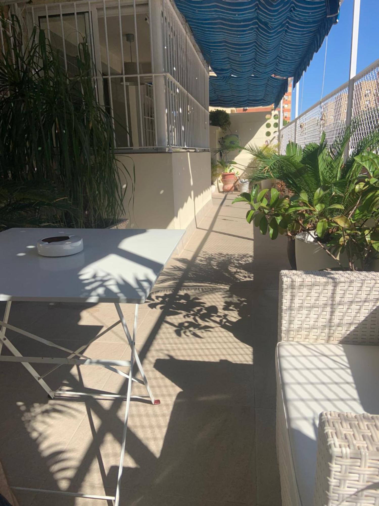 Apartamento Jardin Cerca Del Centro Seville Exterior photo